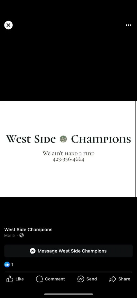 Top-rated yard maintenance experts serving Jasper, TN - West Side Champions