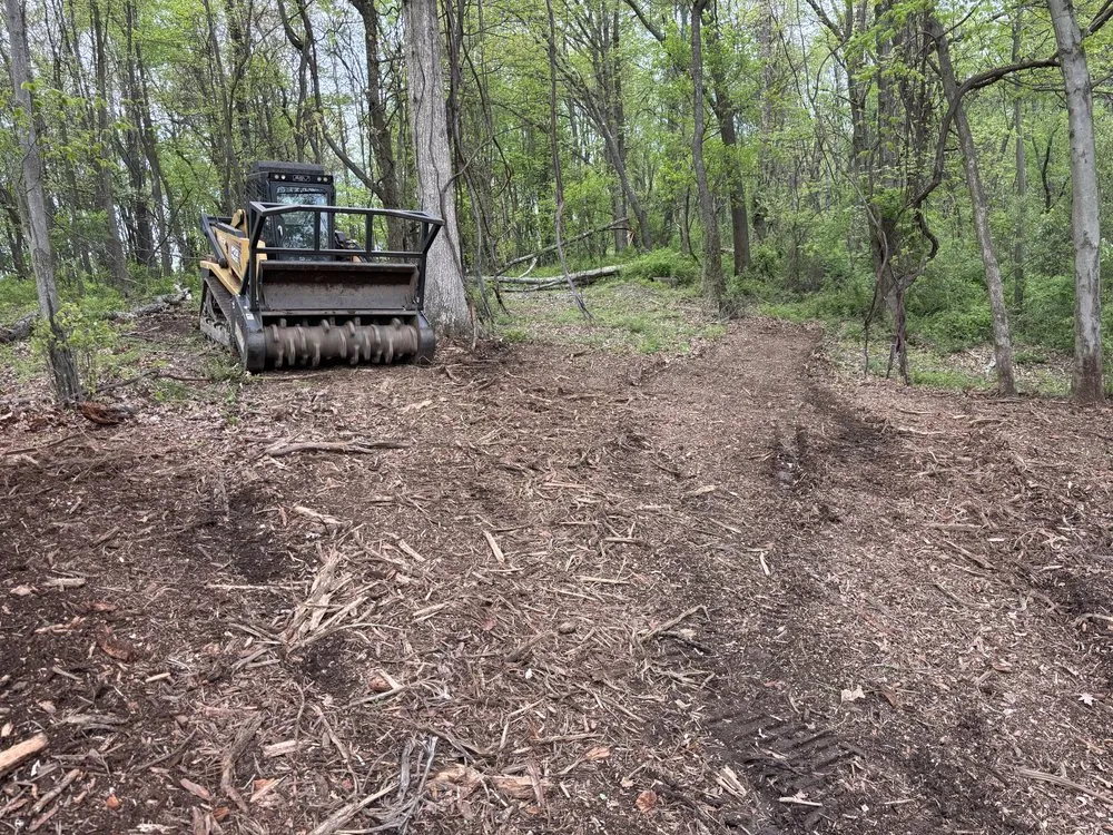 Reliable landscaping services near you across West Sunbury, PA - West Sunbury Forestry
