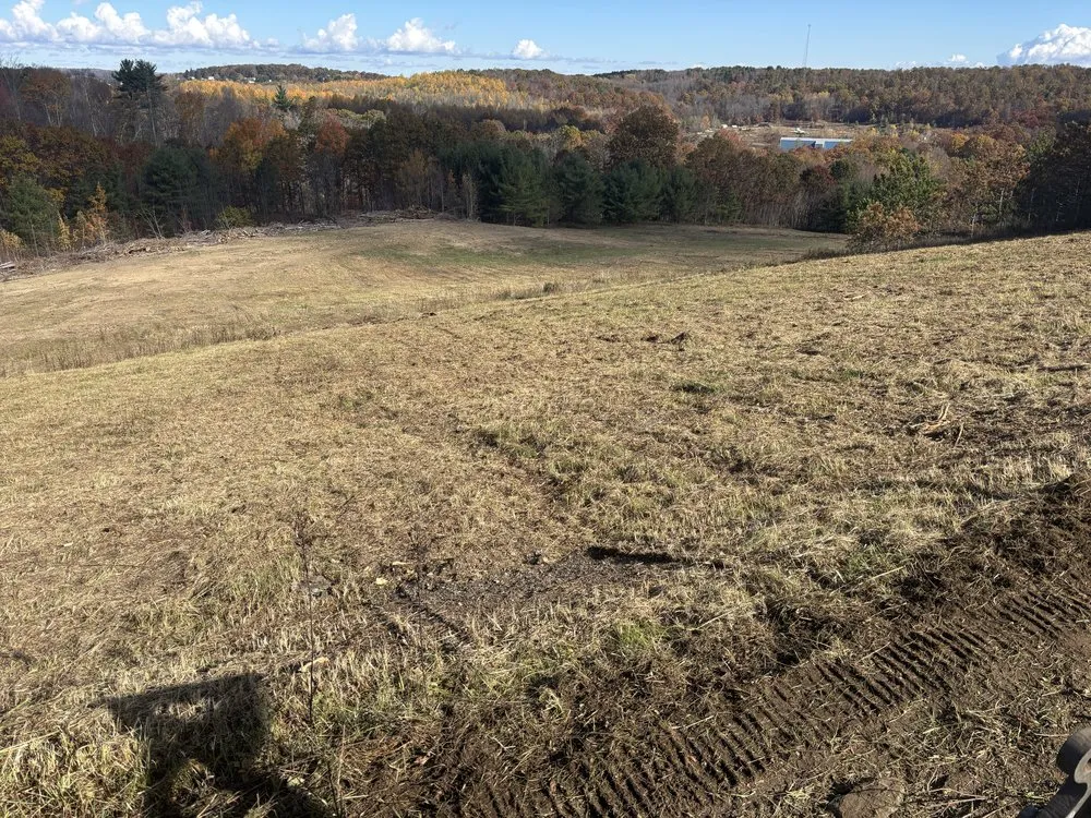 Local yard maintenance experts serving West Sunbury, PA - West Sunbury Forestry