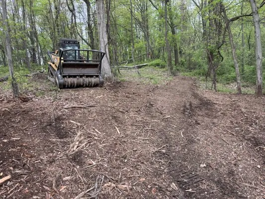West Sunbury Forestry