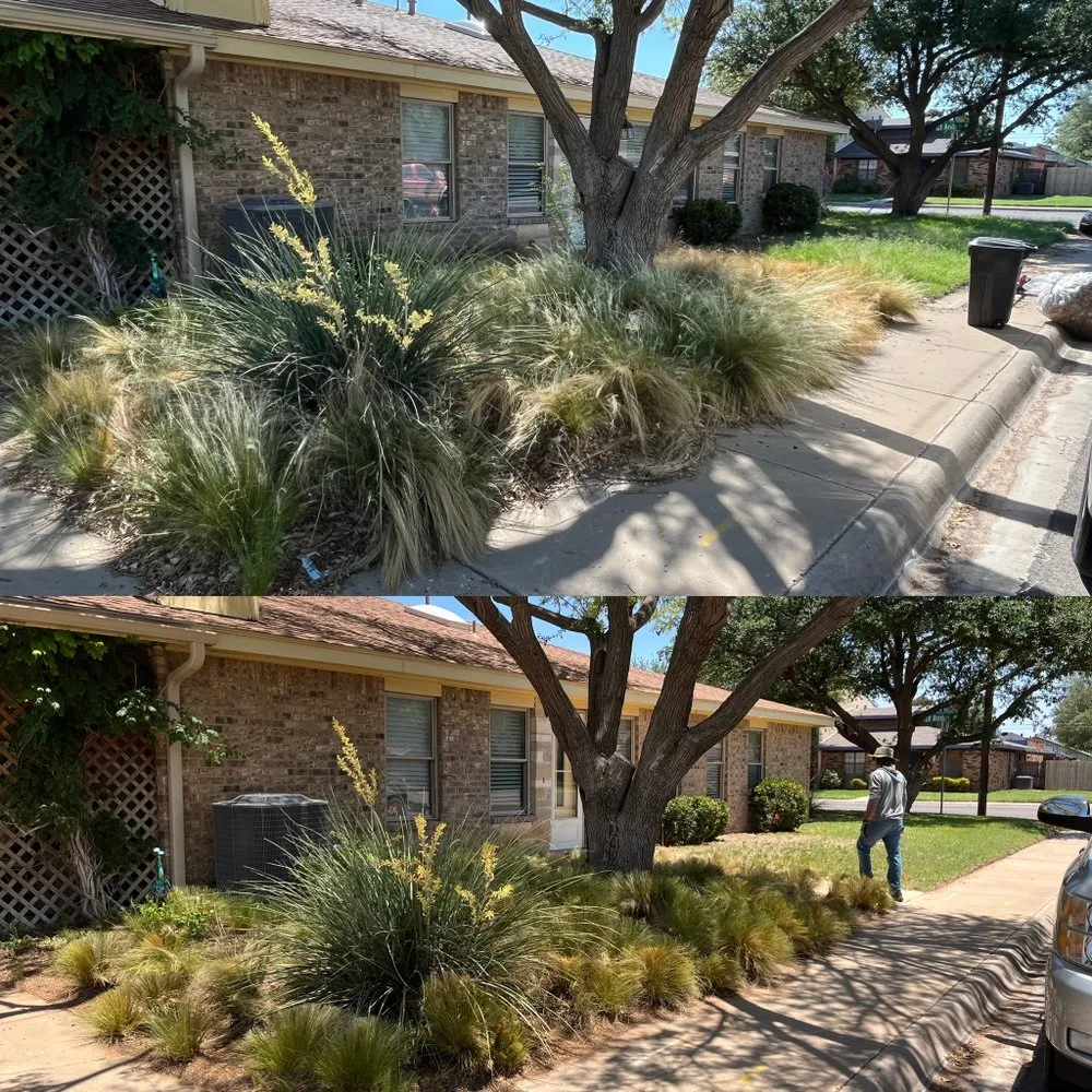Trusted lawn mowing service in Odessa, TX - West Tex Lawn Maintenance