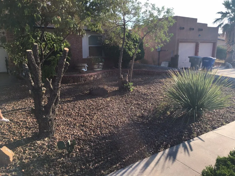 Affordable lawn care service experts serving El Paso, TX - West Texas - Landscaping & Lawn Maintenance