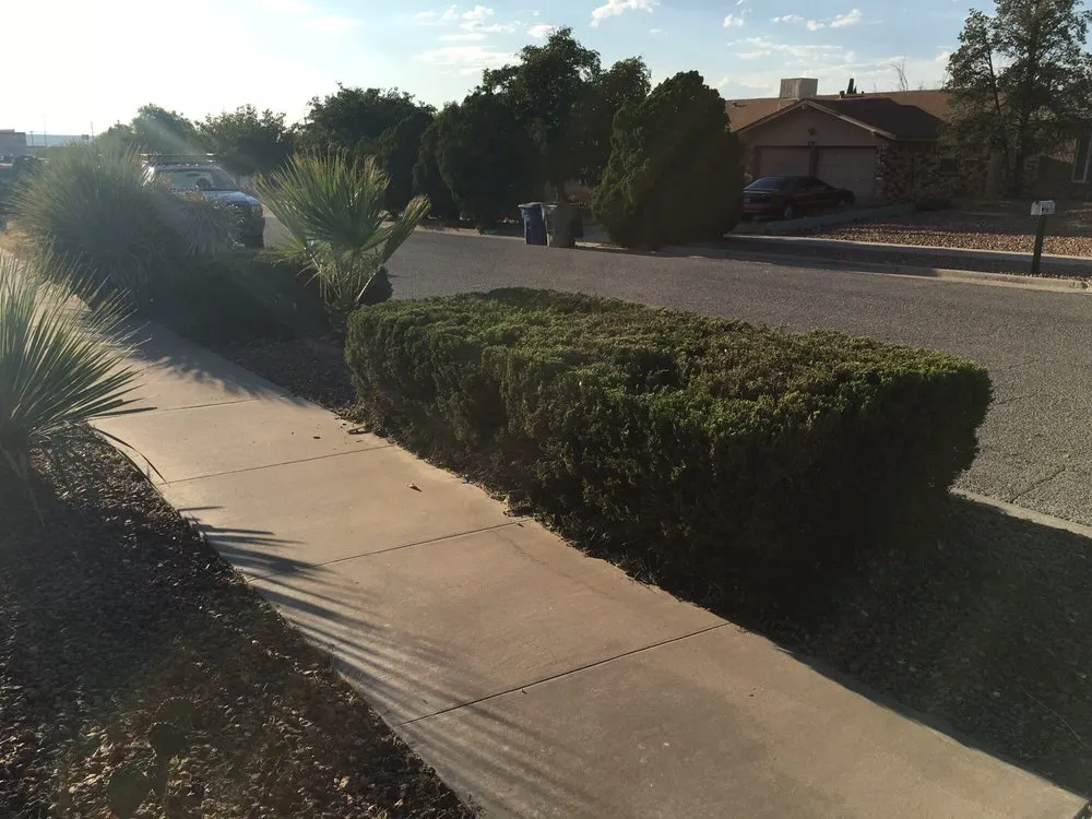 Affordable lawn mowing service in El Paso, TX - West Texas - Landscaping & Lawn Maintenance