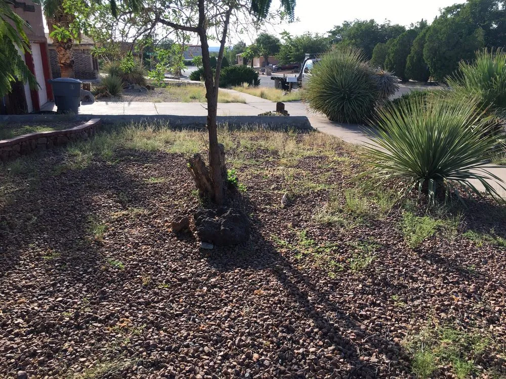 Expert residential landscaping in El Paso, TX by West Texas - Landscaping & Lawn Maintenance