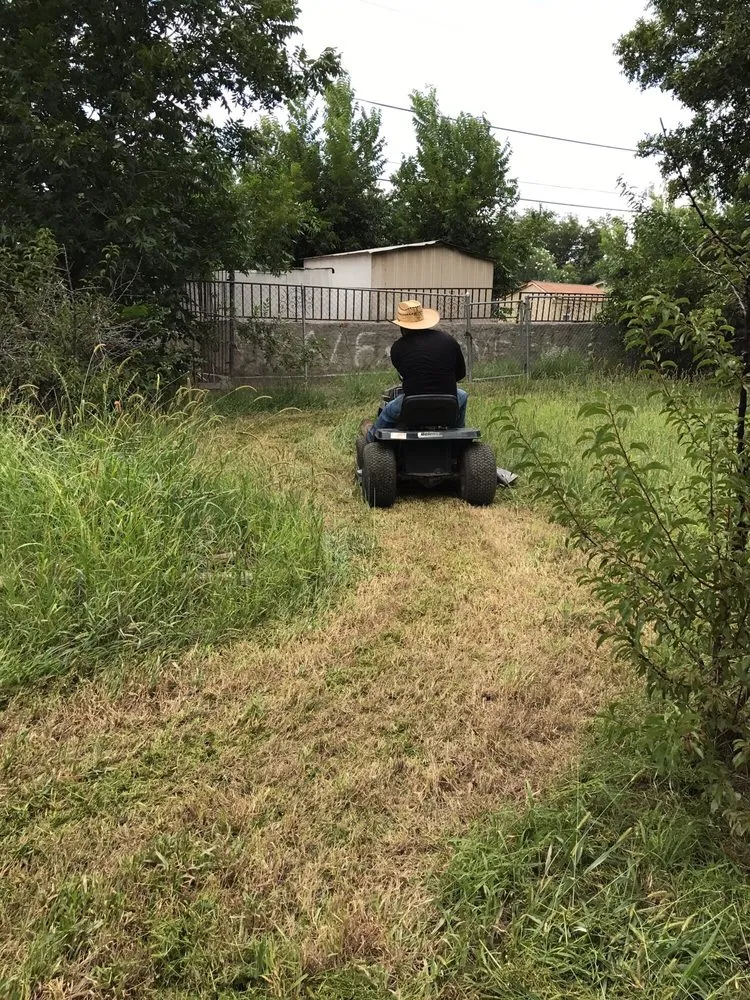 Custom landscaping services experts serving El Paso, TX - West Texas - Landscaping & Lawn Maintenance