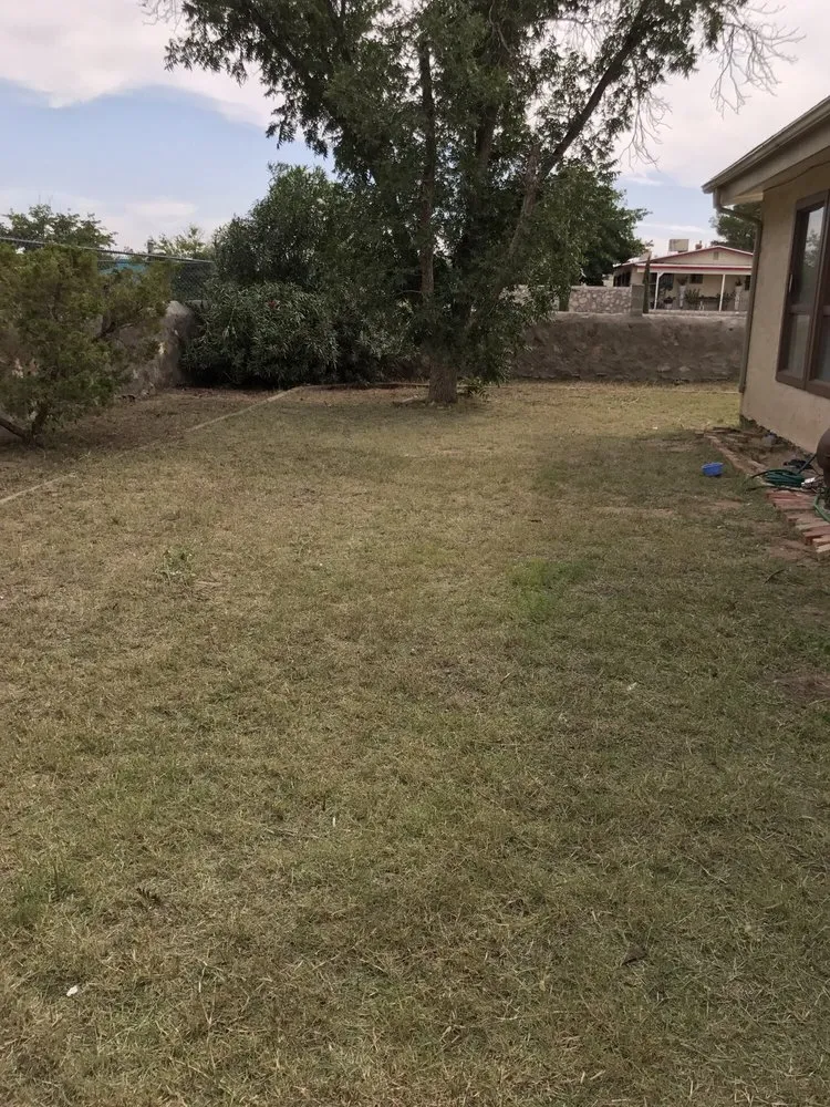 Affordable lawn care service for residential properties across El Paso, TX - West Texas - Landscaping & Lawn Maintenance