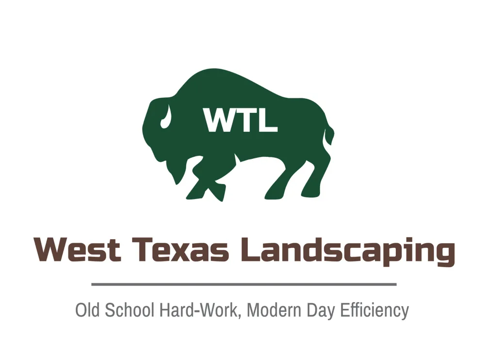 Professional yard maintenance for residential properties in Amarillo, TX by West Texas Landscaping