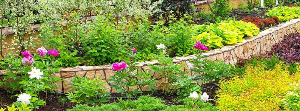 Top-rated landscaping services experts serving Amarillo, TX - West Texas Landscaping