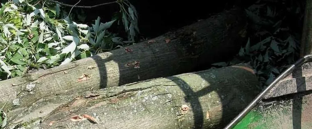 Custom yard maintenance for beautiful yards across Amarillo, TX - West Texas Landscaping