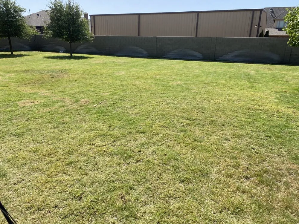 Custom yard maintenance for year-round maintenance in Odessa, TX by West Texas Lawn Services
