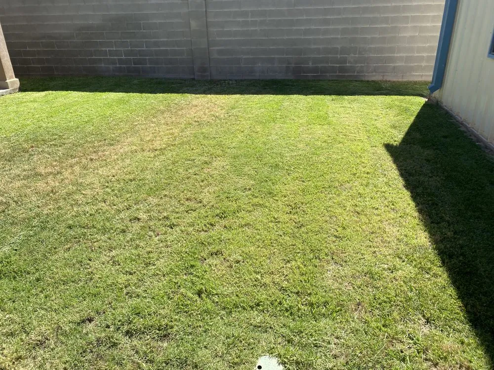 Affordable lawn mowing service near you in Odessa, TX by West Texas Lawn Services