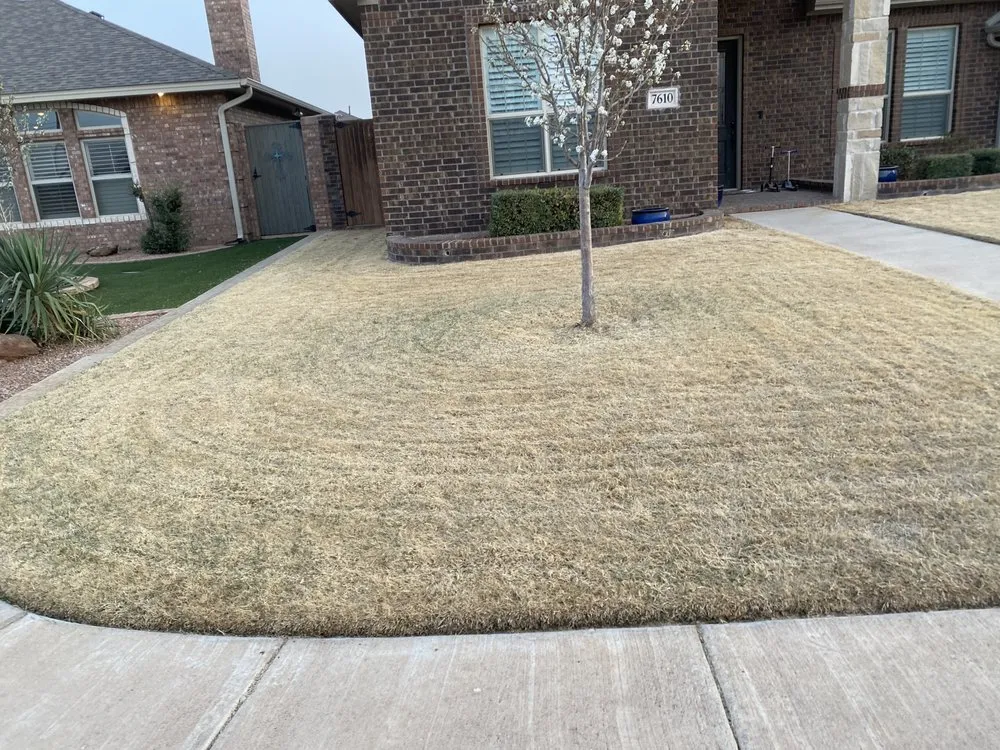 Trusted yard cleanup service experts serving Odessa, TX - West Texas Lawn Services