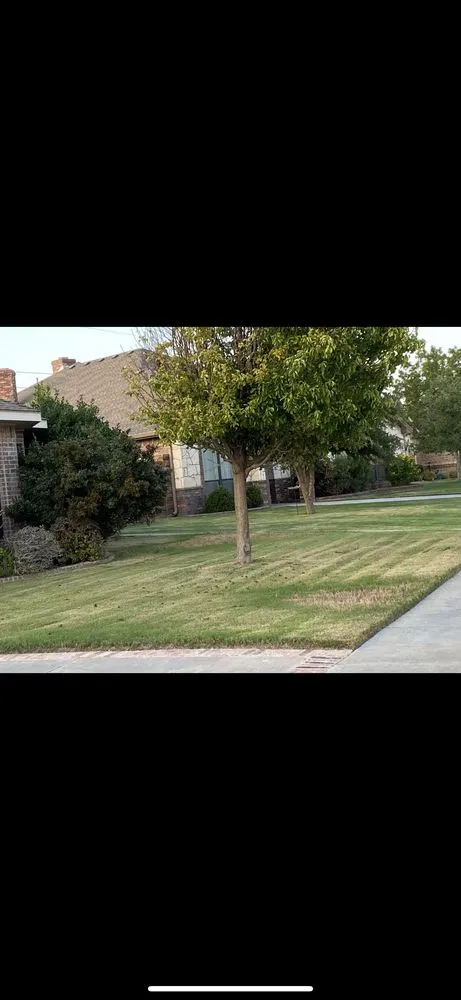 Trusted yard maintenance experts serving Odessa, TX - West Texas Lawn Services