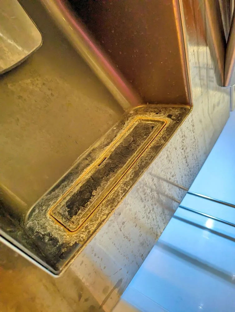 Custom landscaping services in El Paso, TX by West Texas Property Solutions