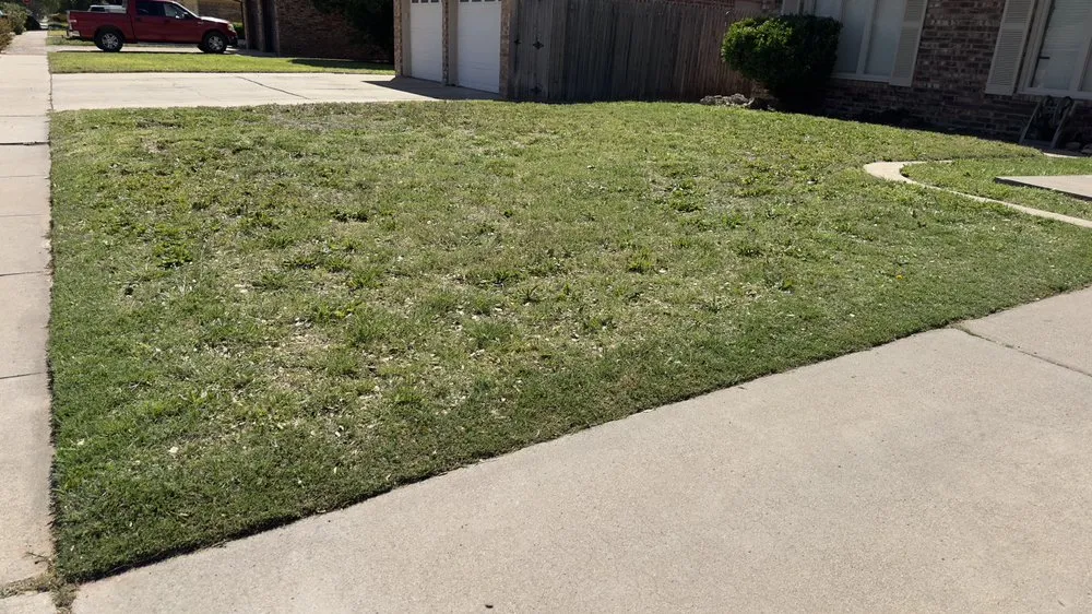 Professional lawn mowing service experts serving Wolfforth, TX - West Texas Realty Care