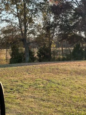 West Tn Lawn care