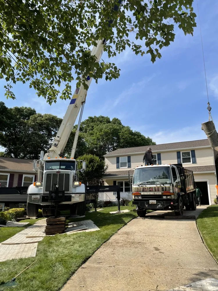 Professional outdoor landscaping with custom design in Severn, MD by West Tree Services