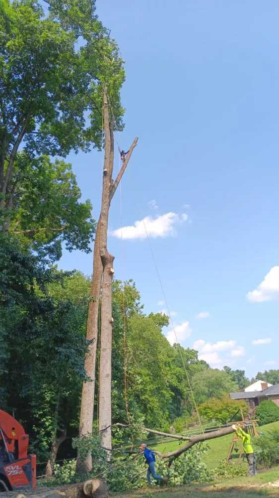 Top-rated garden landscaping experts serving Severn, MD - West Tree Services