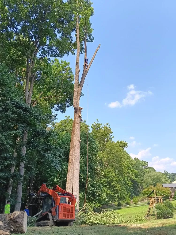 Trusted landscape design experts serving Severn, MD - West Tree Services