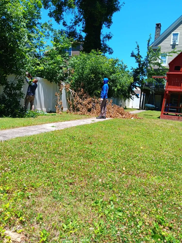 Reliable landscaping services in Severn, MD by West Tree Services