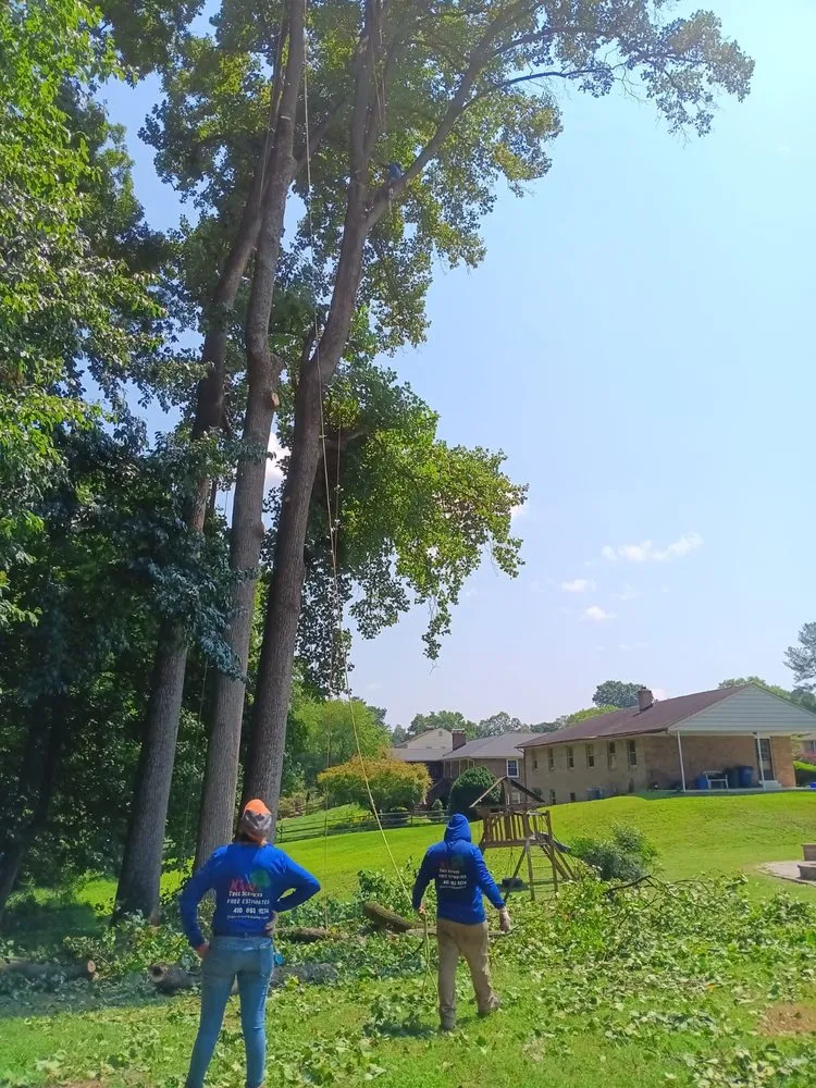 Local outdoor landscaping experts serving Severn, MD - West Tree Services