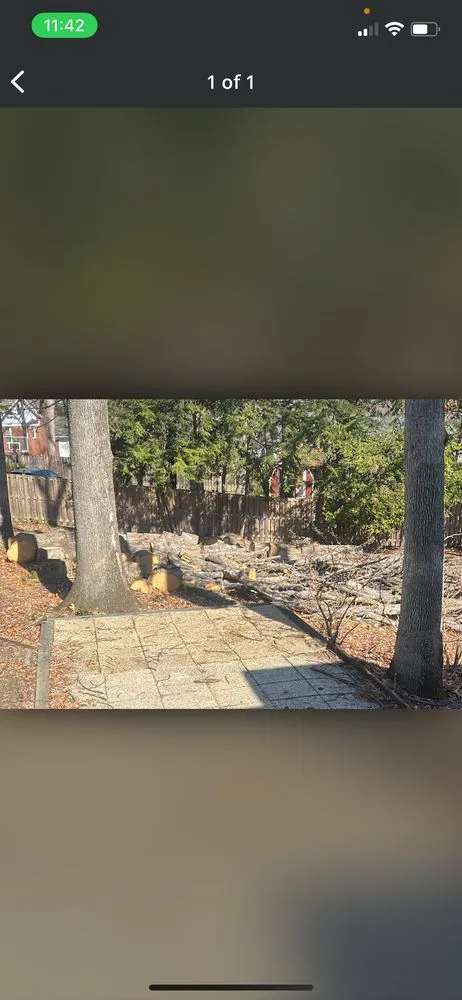 Affordable yard maintenance experts serving Severn, MD - West Tree Services