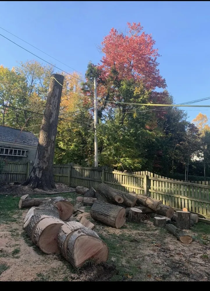 Expert lawn mowing service for homes across Severn, MD - West Tree Services