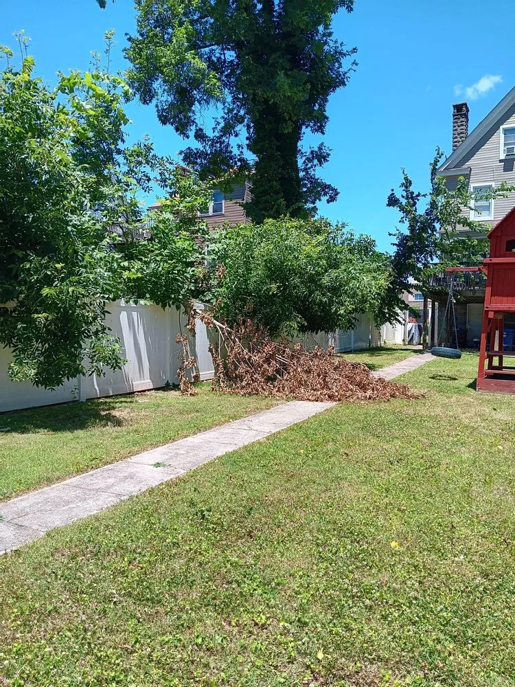 Reliable outdoor landscaping in Severn, MD - West Tree Services