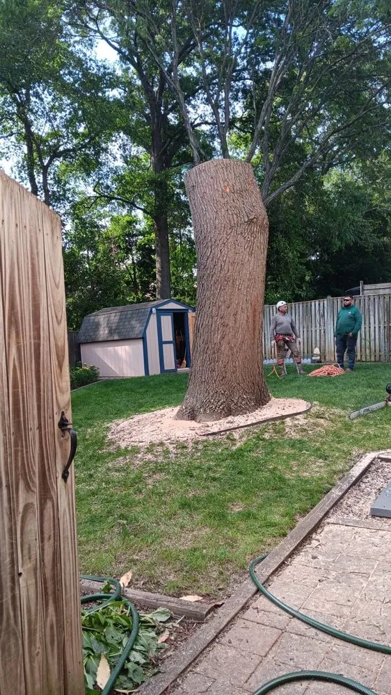 Trusted outdoor landscaping in Severn, MD by West Tree Services