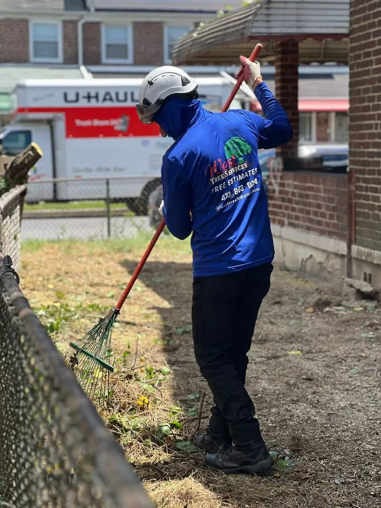 Expert outdoor landscaping for homes across Severn, MD - West Tree Services