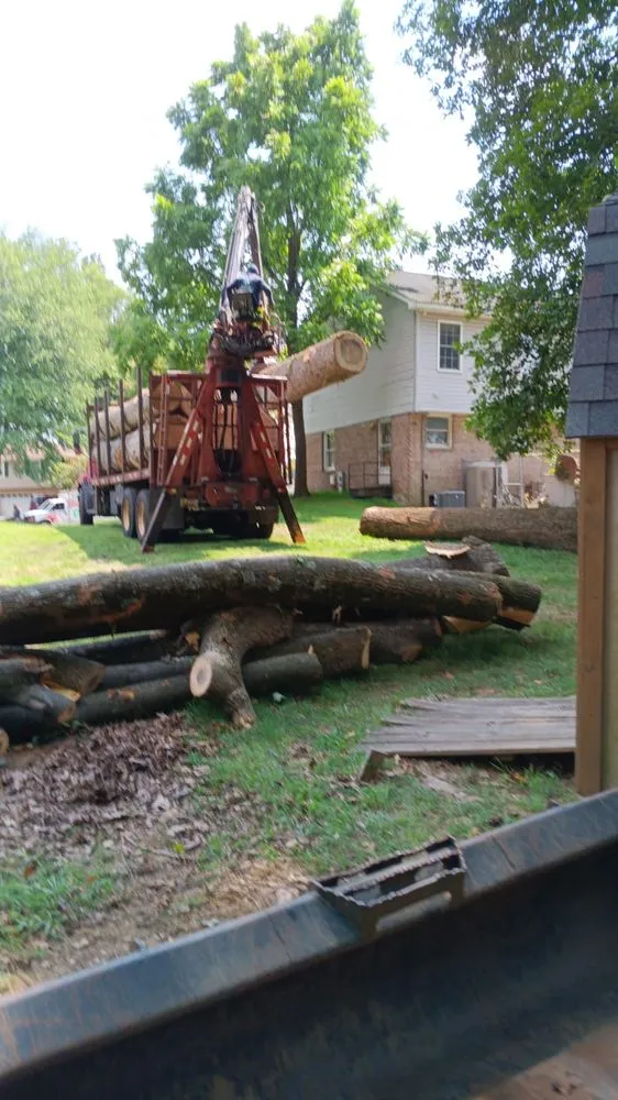 Custom yard maintenance experts serving Severn, MD - West Tree Services