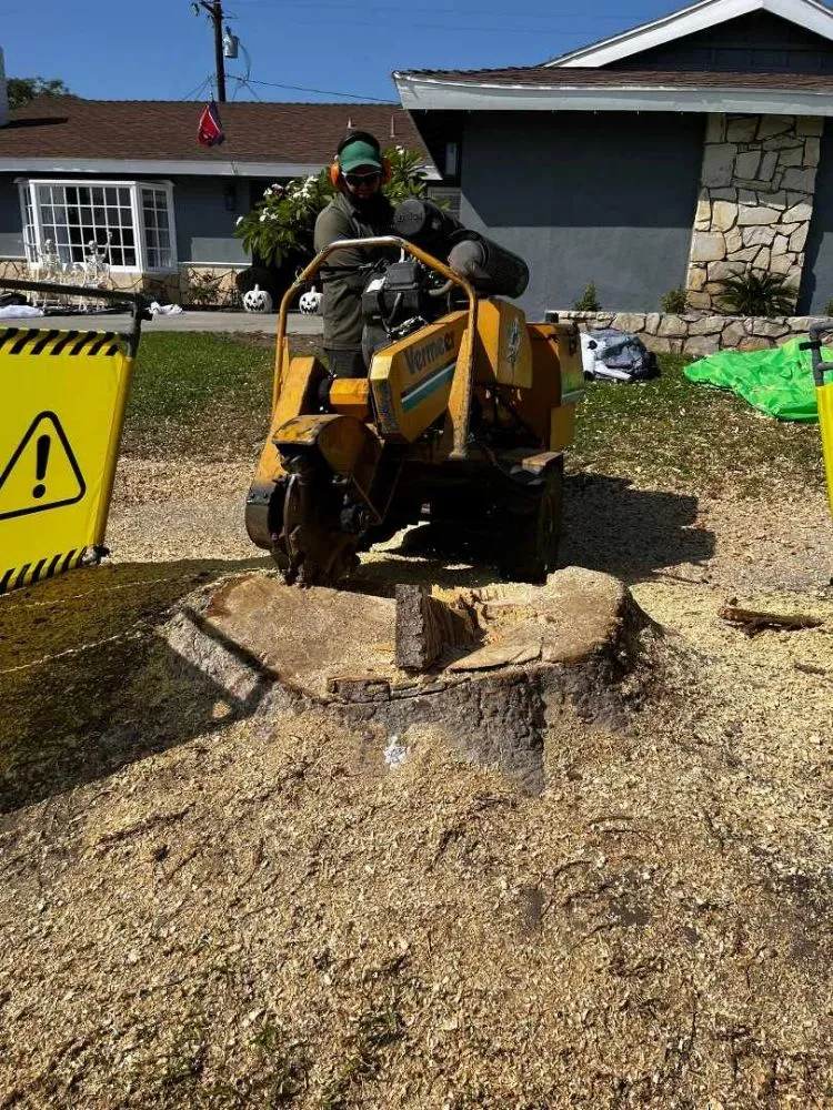 Custom residential landscaping in Santa Ana, CA by West Tulip Landscaping