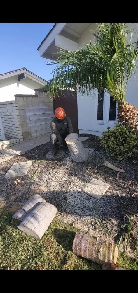 Local residential landscaping near you in Santa Ana, CA by West Tulip Landscaping