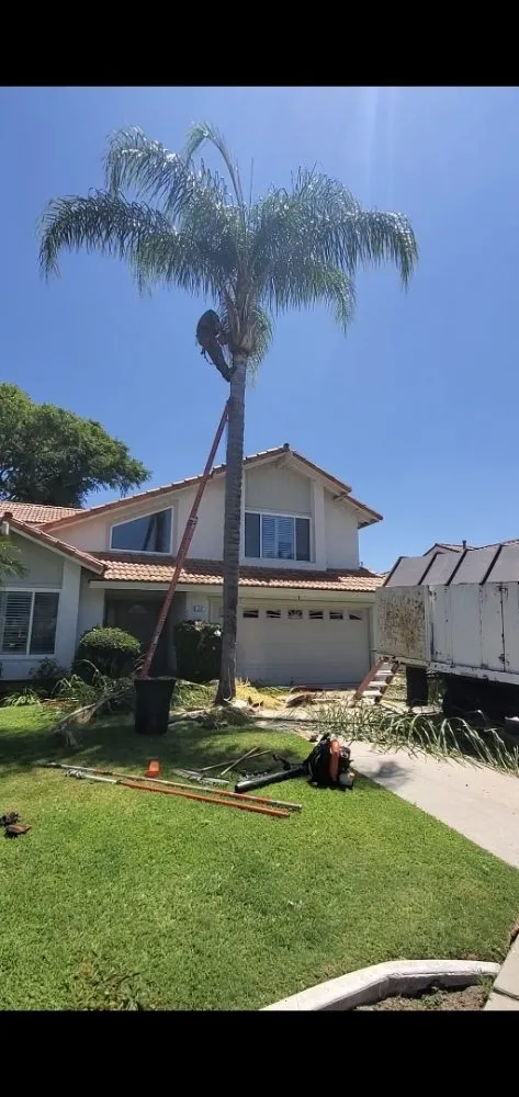 Custom lawn mowing service in Santa Ana, CA by West Tulip Landscaping