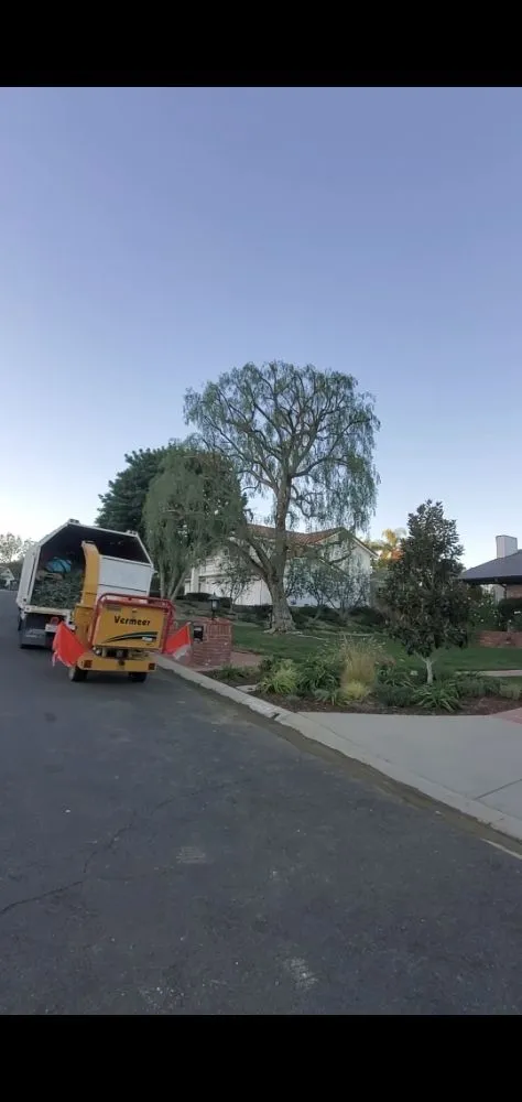 Professional outdoor landscaping in Santa Ana, CA - West Tulip Landscaping