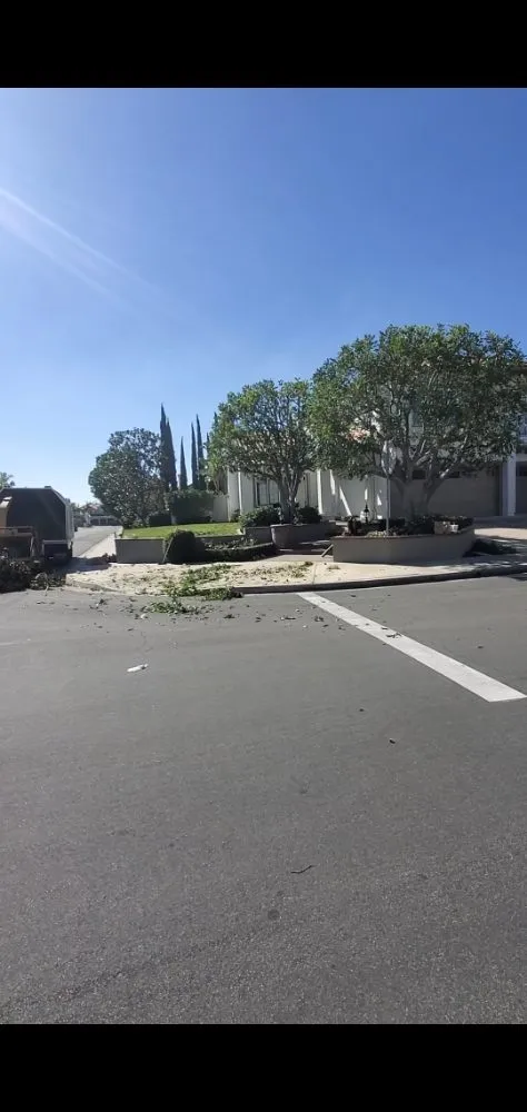 Professional landscaping services for residential properties across Santa Ana, CA - West Tulip Landscaping