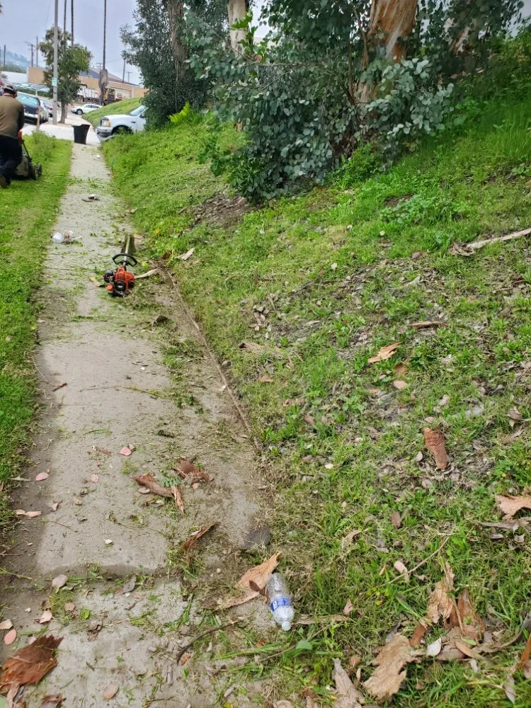 Affordable landscape design experts serving Santa Ana, CA - West Tulip Landscaping