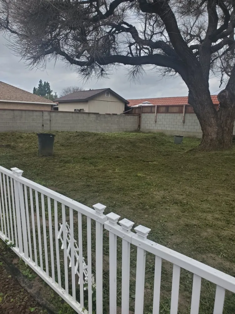 Custom yard cleanup service experts serving Santa Ana, CA - West Tulip Landscaping