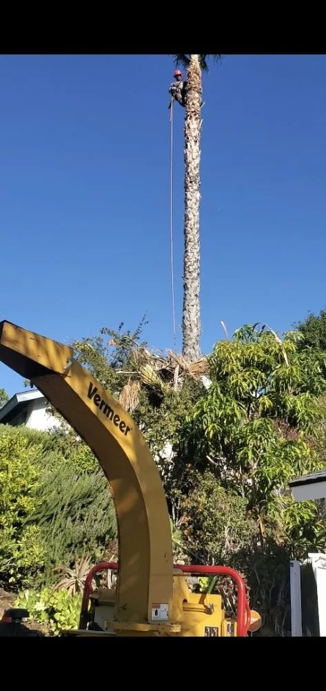 Expert yard maintenance in Santa Ana, CA by West Tulip Landscaping