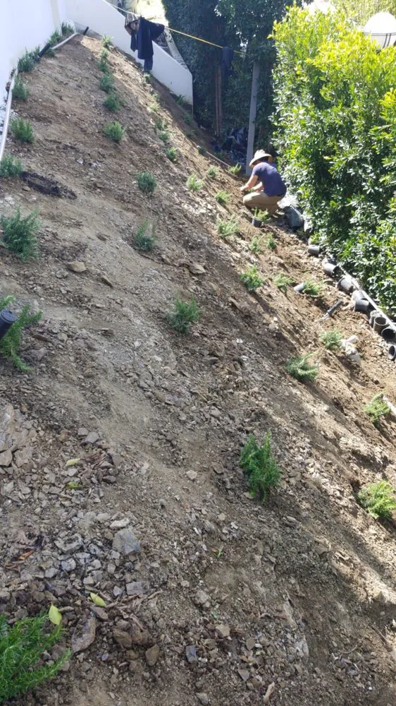 Custom outdoor landscaping in Chatsworth, CA by West Valley Green Landscaping