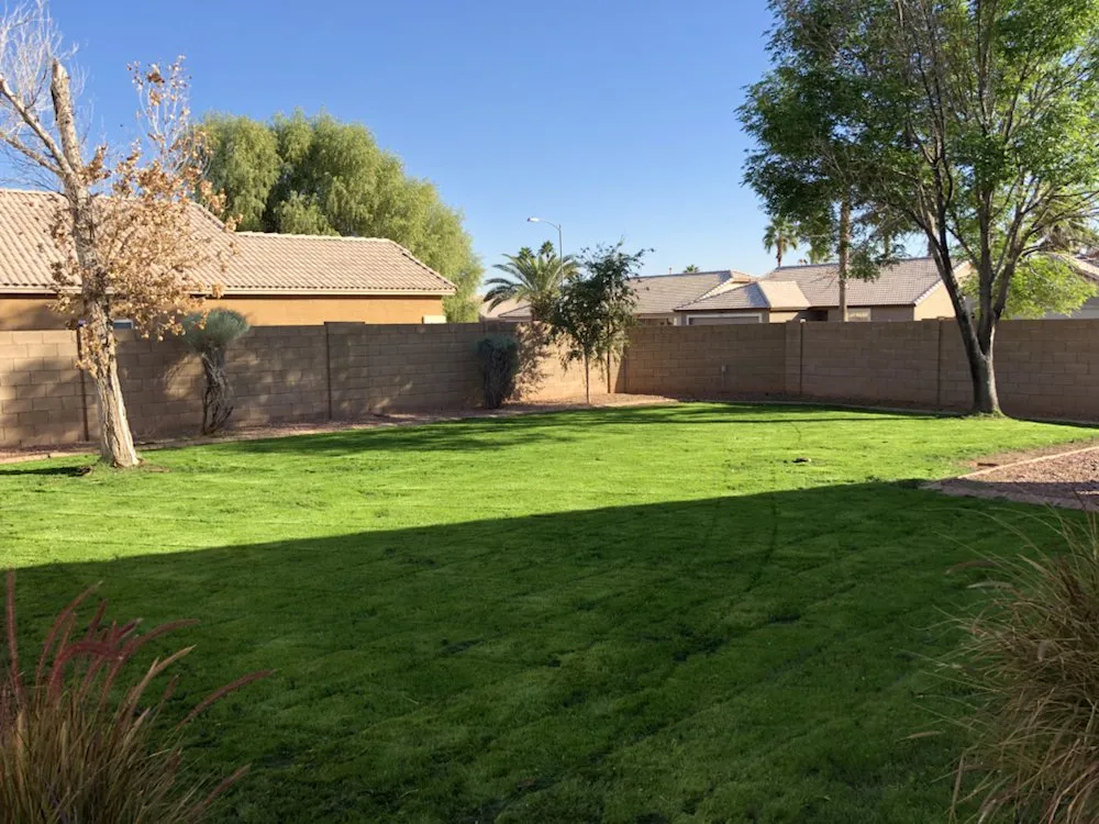 Affordable landscape design in Surprise, AZ by West Valley Lawn Care and Irrigation