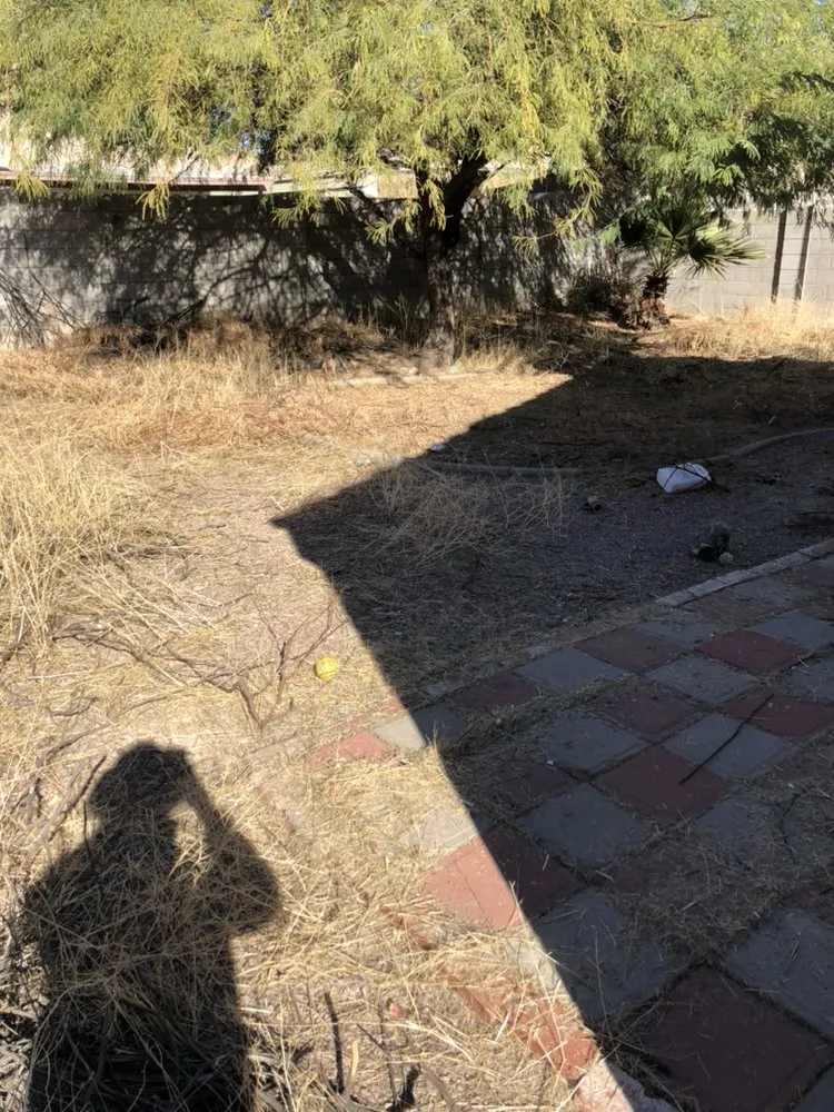 Reliable outdoor landscaping experts serving Surprise, AZ - West Valley Lawn Care and Irrigation