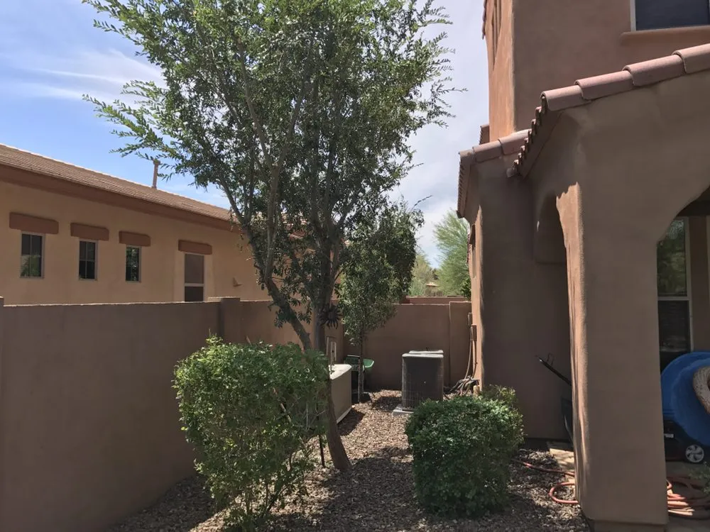 Affordable outdoor landscaping in Surprise, AZ - West Valley Lawn Care and Irrigation