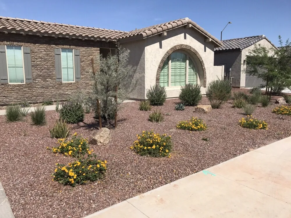 Local yard cleanup service in Surprise, AZ by West Valley Lawn Care and Irrigation