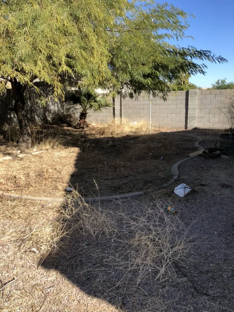 Reliable landscape design in Surprise, AZ - West Valley Lawn Care and Irrigation