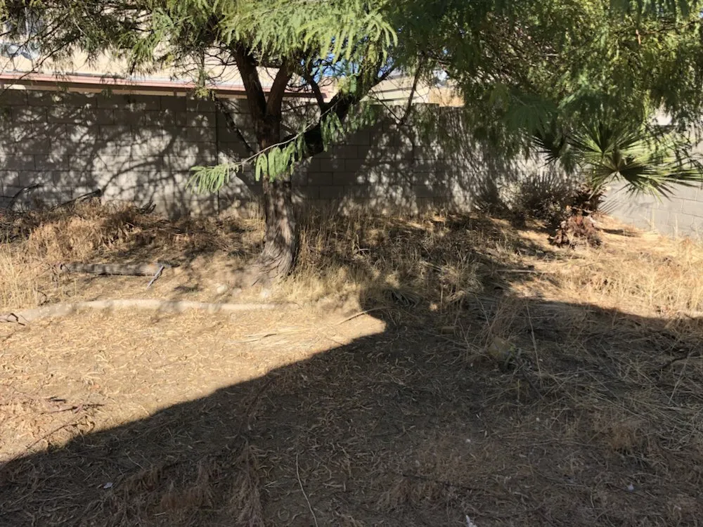 Expert yard maintenance with custom design across Surprise, AZ - West Valley Lawn Care and Irrigation