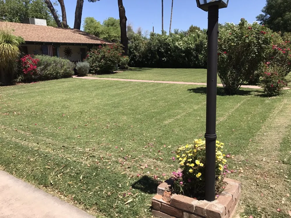 Affordable residential landscaping in Surprise, AZ - West Valley Lawn Care and Irrigation
