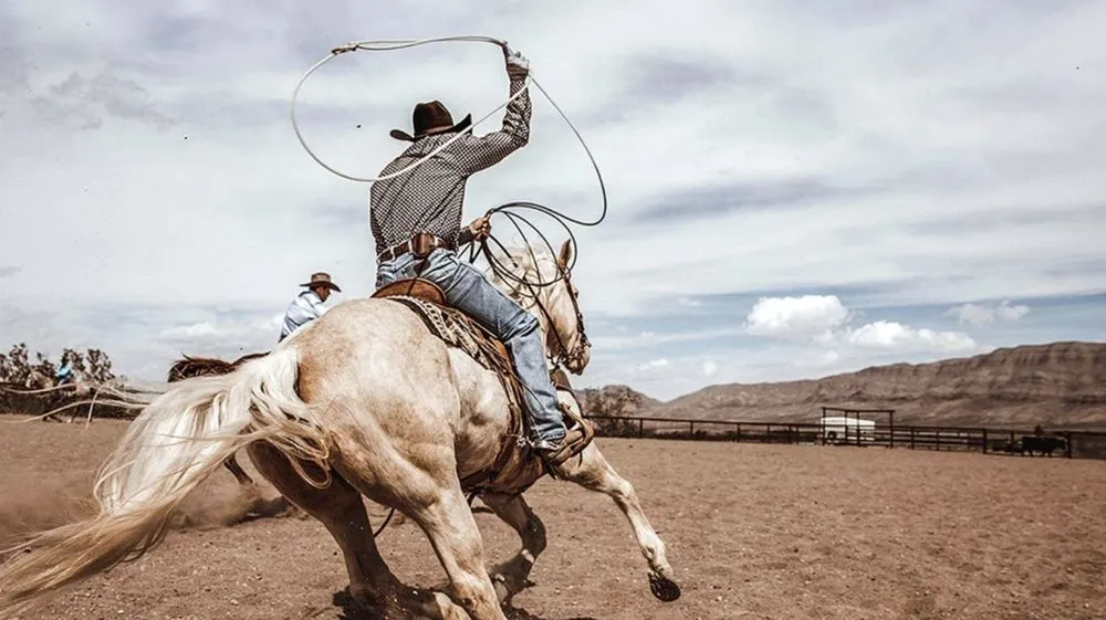 Top-rated residential landscaping in Buckeye, AZ - West Valley Rock