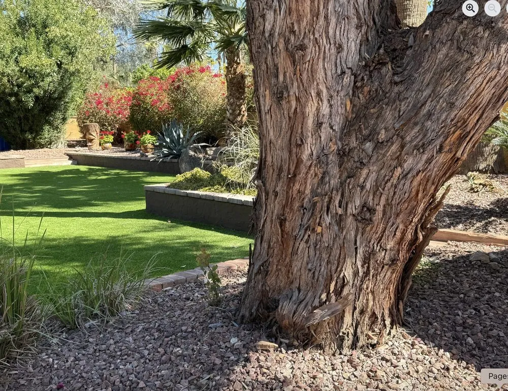 Custom lawn mowing service for residential properties in Buckeye, AZ by West Valley Rock