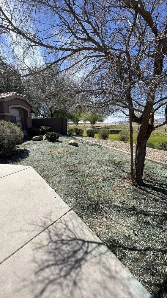 Professional yard cleanup service near you in Goodyear, AZ by West Valley Services